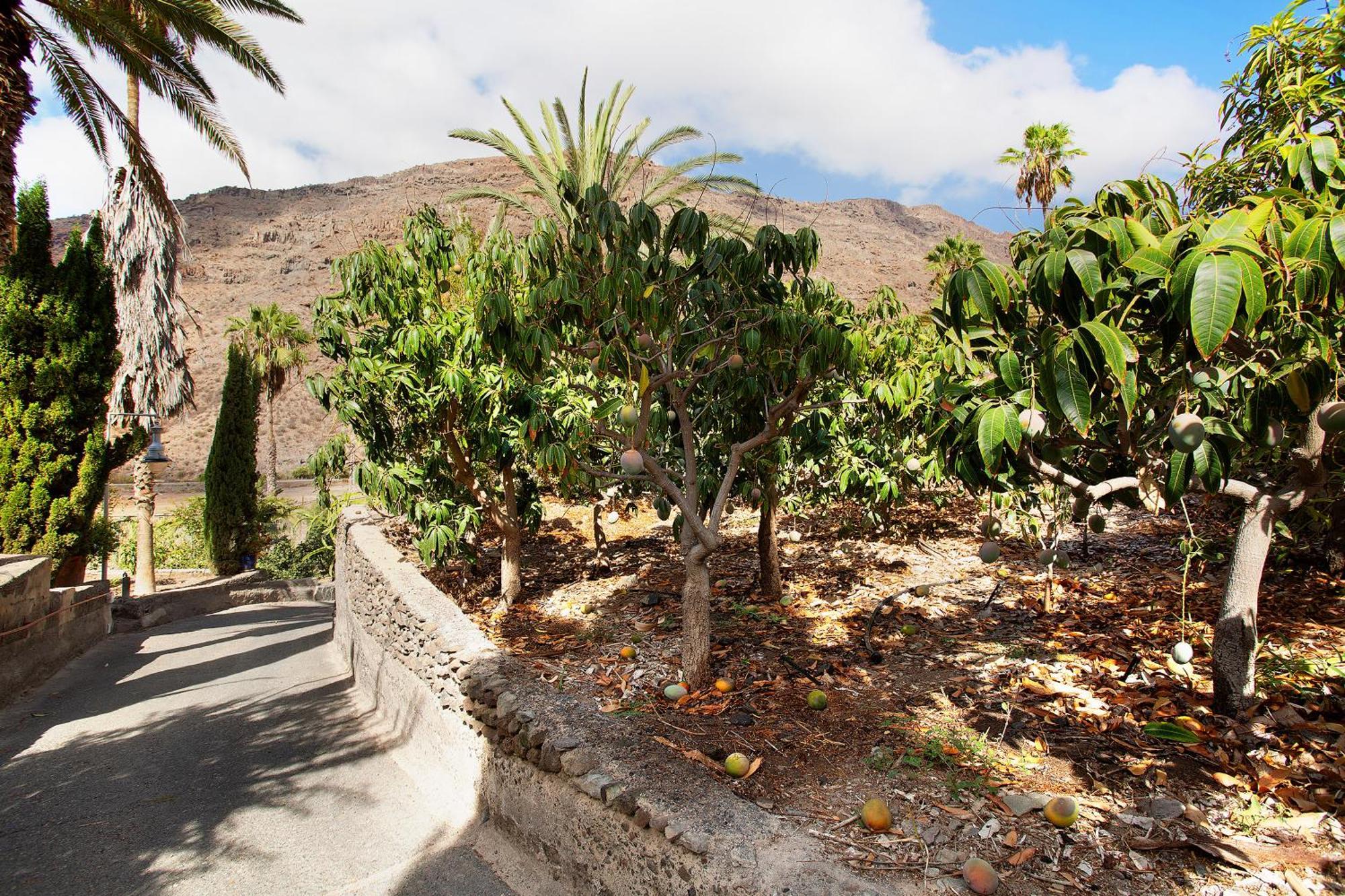 Casa Paraiso Del Molinero Villa Mogán Kültér fotó